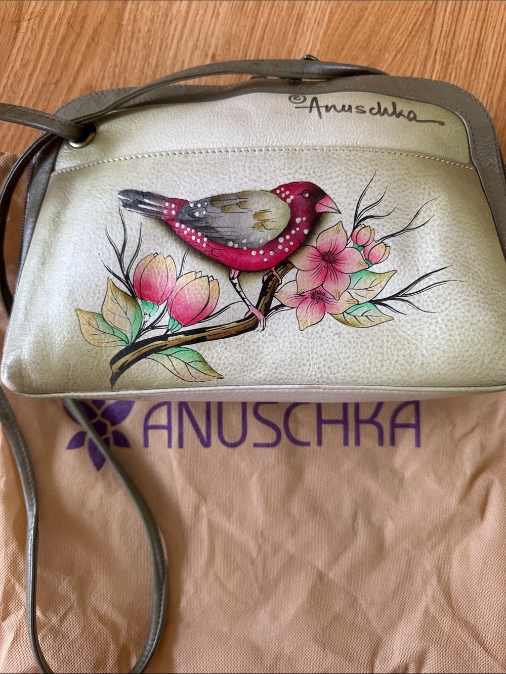 Anuschka Pale Green Crossbody with Hand-Painted Pink Bird and Floral Design
